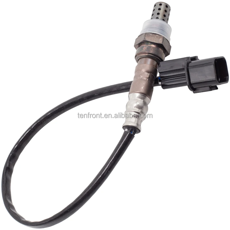 MD312083 (4).jpg