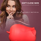 Sex 2021 Amazon Hot-selling Sex Toy For Women Vibrating Egg Rose Red Design Sucker Vibrator Waterproof