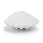 Sea Shell Factory Customized Decorative Resina Sea Shell Sculpture Resin Decor Shell Craft