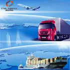 Forwarder Shenzhen DDP DDU Cheapest International Freight Forwarder Air Freight Amazon FBA From Shenzhen To UK USA