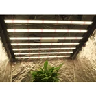 Led Plant Grow Lamp 2020 New Foldable Full Spectrum Samsung Lm301b Lm301h Led Plant Grow Lamp
