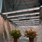 Meijiu Led Grow Light 2021 Top Selling Greenhouse Indoor Garden Plant Powerful Lm301H Lm301B 3000K 3500K/
