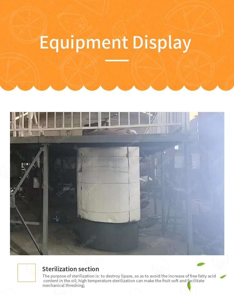 Hot Selling Red Palm Oil Production Pressing Machine 1530Tph Palm Fresh Fruit Bunch Press Project Equipment Oil Storage Tank manufacture