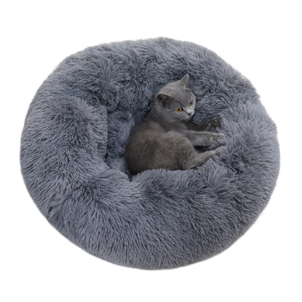 igloo cat bed