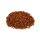 Dry Cat Food Beef Flavored Dry Cat Food For Kittens 2kg 10kg Private Label High Quality Pet Food