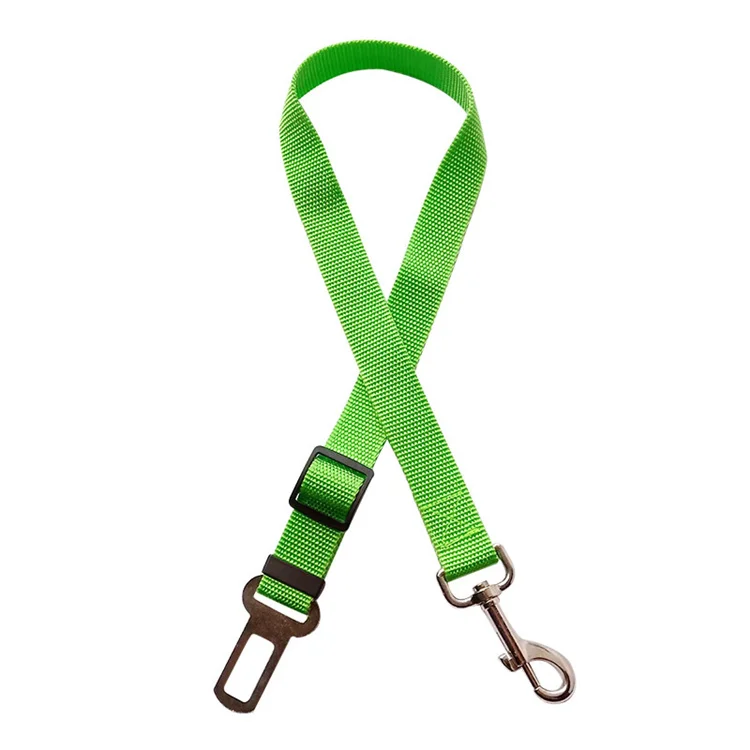 dog leash PCL0224.jpg