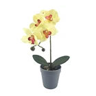 Wholesale Home Garden Decoration Orchid Artificial Plant Simulation Real Touch Colorful Plastic Flower Wedding