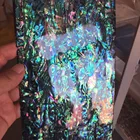 Abalone Shell Soft Natural Abalone Shell Laminate