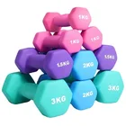 Fitness Fitness Portable Dumbbell Gym Dumbbell Build Muscle And Train Small Dumbbells