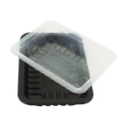Pvc Tray Pvc Plastic Packaging Custom Recycled Material RPET PP PVC PET Clear Plastic Packaging Tray Box
