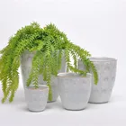 Size Plant Concise Garden Custom Size Indoor Outdoor Irregular White Porcelain Plant Pot