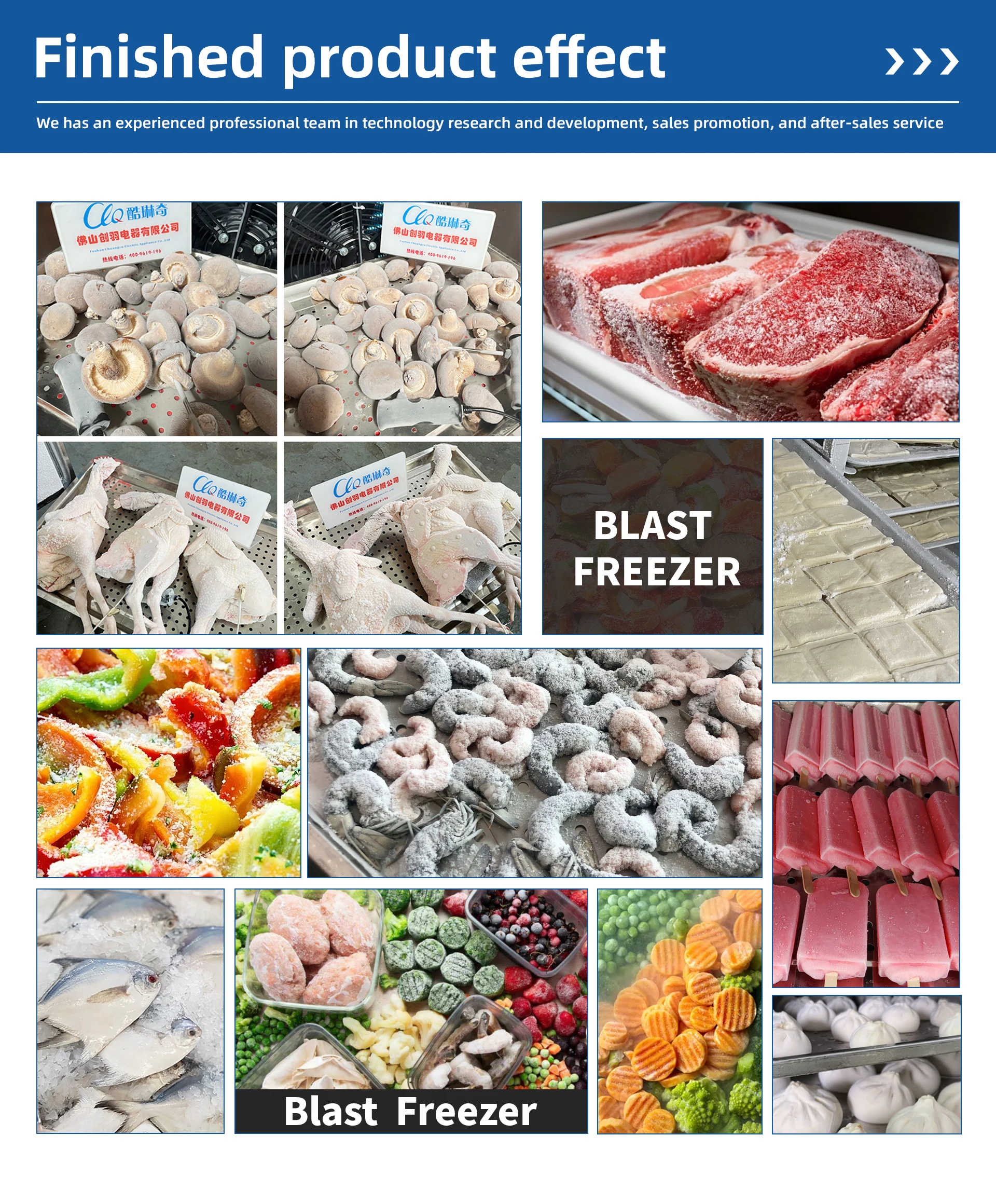 Blast Freezer, 380 V, 10KW - detail 24