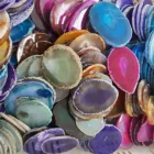 Stones Natural Agate 2021 High Quality Healing Stones Natural Crystals Decoration Craft Colored Agate Flakes