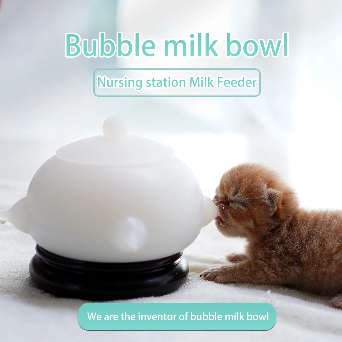 Baoblaze 3Pcs Pet Milk Feeding Bowl Nursing Station Silicone Puppy Pink Green