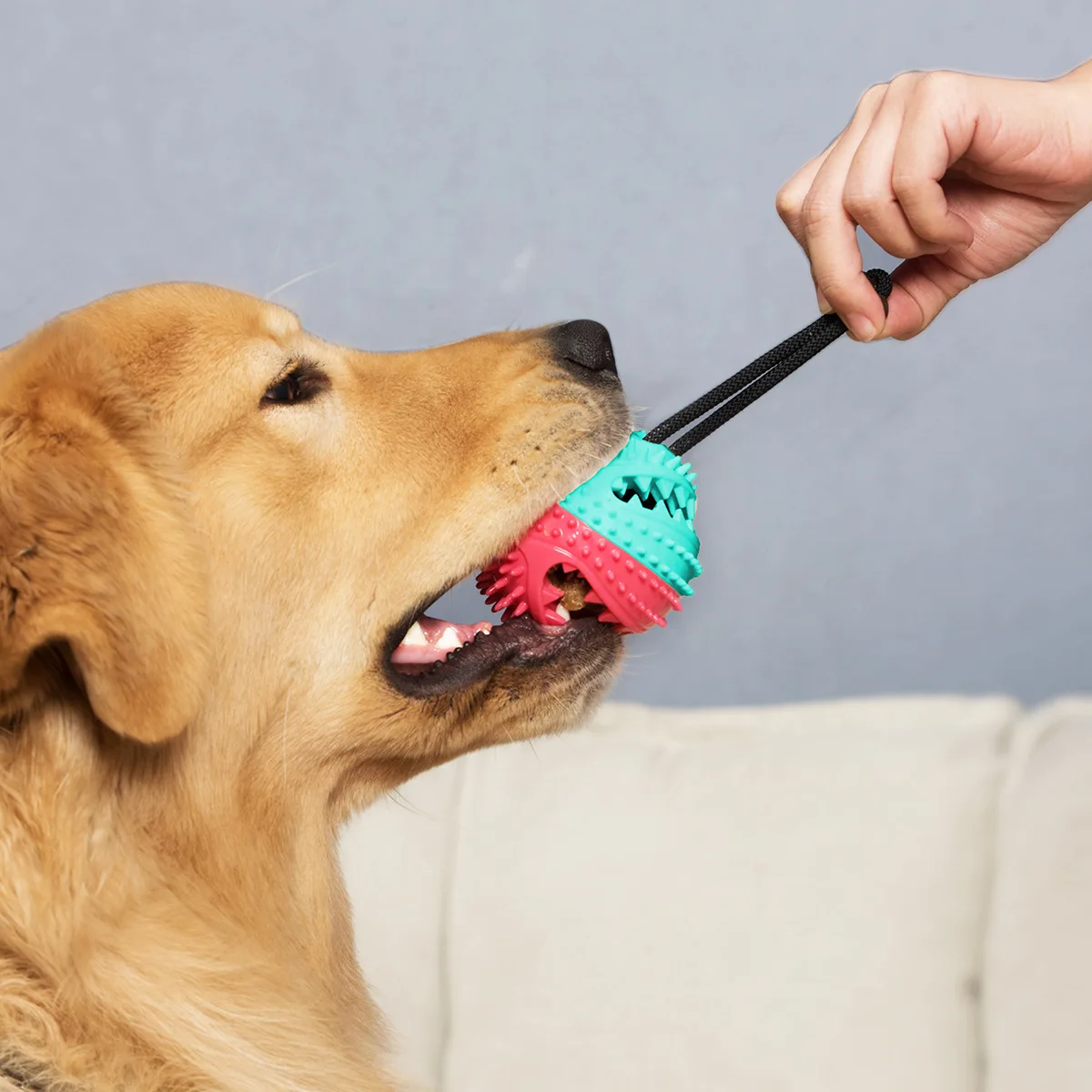 Dog Chew Toys for Aggressive Chewers,Dog Rope Ball Toys with Suction Cup  for Small Large Dogs, Puppy Dog Teeth Cleaning Interactive Pet Tug Toy for  Boredom,Blue&Red 