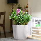 Planter Pot Plants Self Watering Planter Pot Round Flower Self Watering Planter Pot For Indoor Plants