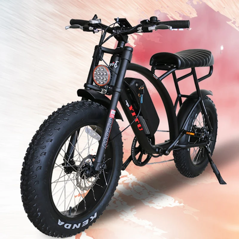 fat tire bike with electric motor