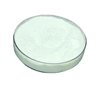 Research Cortisone Antiallergic 53-06-5 Biochemistry Research