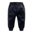 Gold Velvet Autumn Winter Warm Wings Hoodies Pants Suits For Kids Children Boy Clothing Sets
