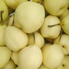 Pear Fresh Pear Fruit Ya Pear For Sale 2020