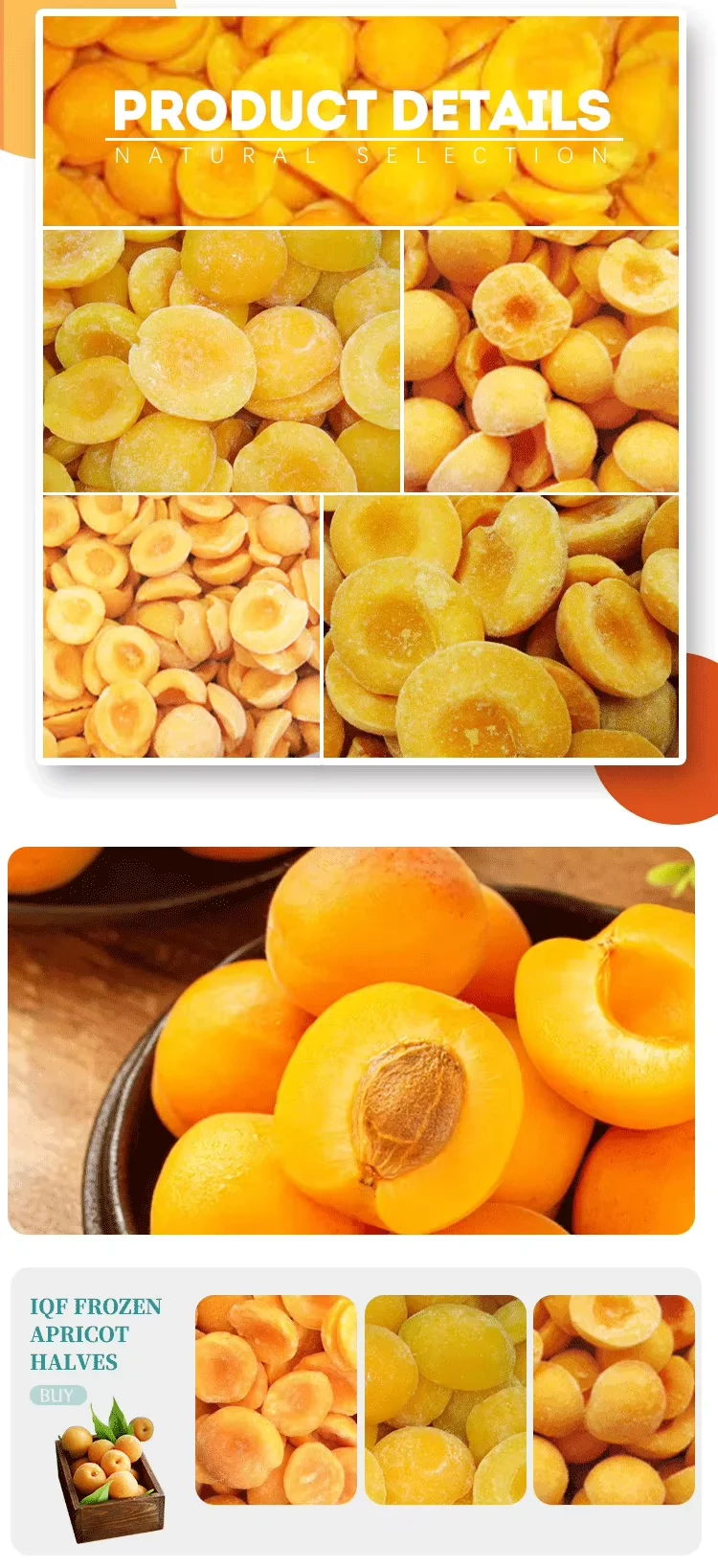 High Quality IQF Frozen Fruit Fresh Delicious Frozen Apricot Half Halves in Bulk supplier