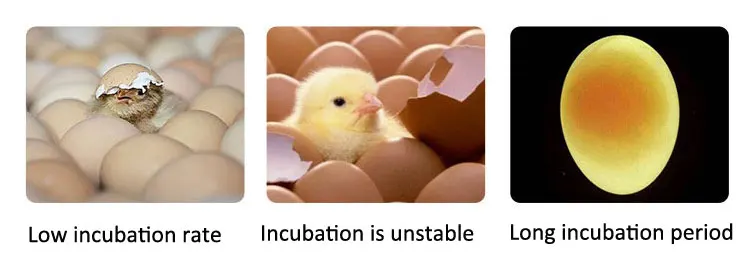 1056 Eggs Fully Automated Incubator Manufacturers Direct Sales