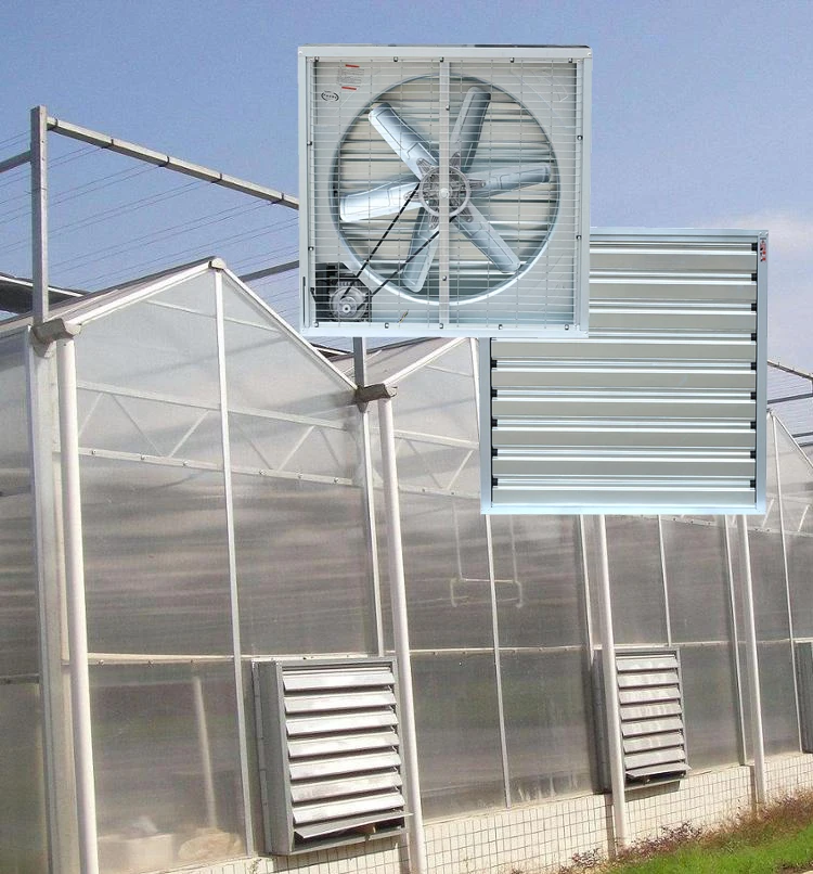 Mx-e600 Explosionproof Axial Blower, 5700m³/h, Explosion-Proof - detail 52