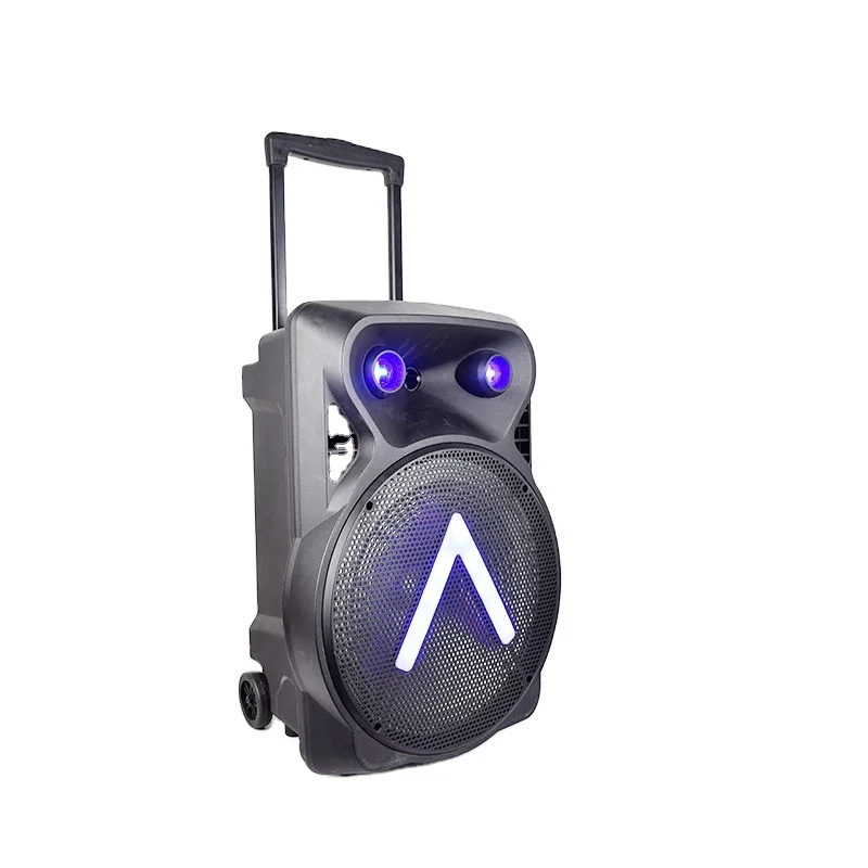 Ailipu 15 Inch Subwoofer Big Boombox Jb 