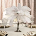 Wing 50-55 Cm Bleach White Ostrich Plumes Wholesale Ostrich Wing Feathers Bulk For Centerpiece/Lamps