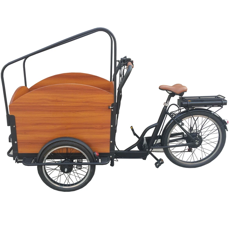 adult tricycle with trailer