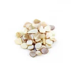 Shell Pearl Shell 2021 Wholesale Natural Crushed Sea Shell Pearl Shell Chips