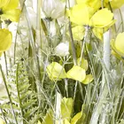 Chrysanthemums Small Yellow Chrysanthemums Daisies Yellow. Decorative Flowers For Decoration Weddings Festivals