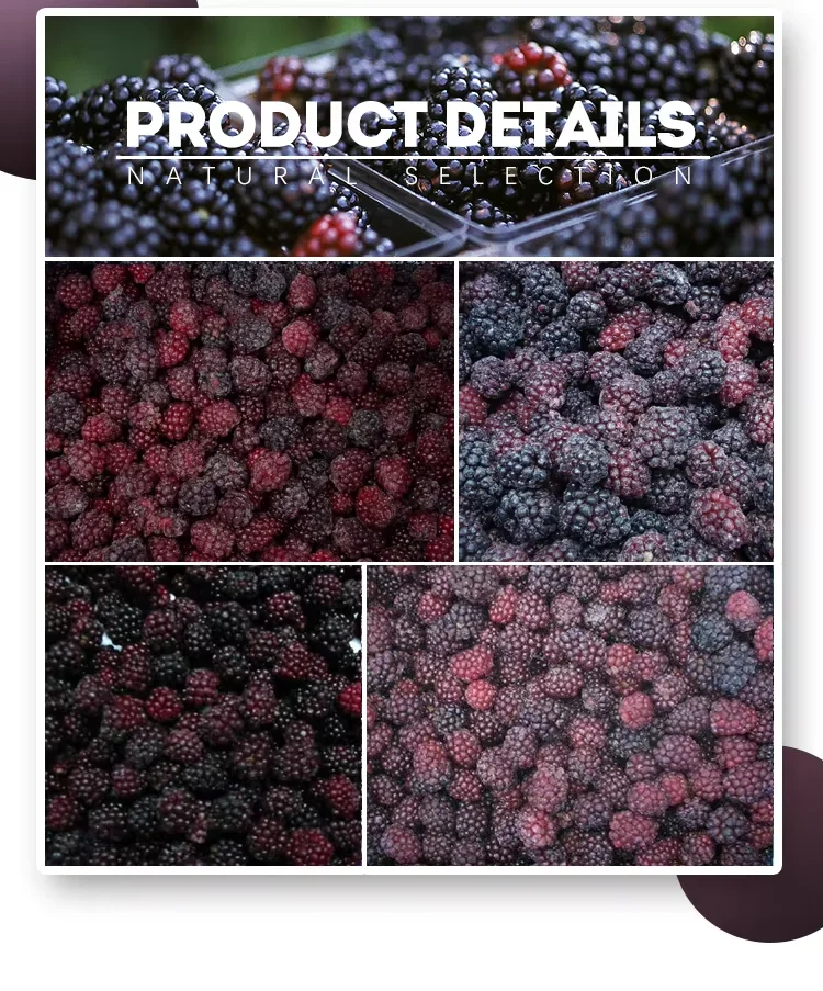 Wholesale Price Bulk 10kg Frozen Blackberries IQF Frozen Blackberry Fruits supplier
