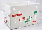 Fresh Plastic Box Packing Plastic Box 2021 Fresh Okra Plastic Packing Box Use Pp Correx Box