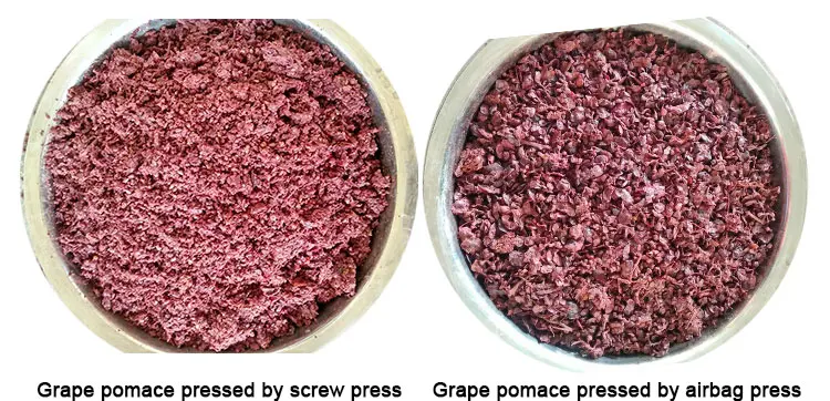 Pneumatic Fruit Grape Press With Closed Tank Winery Equipment Machine factory