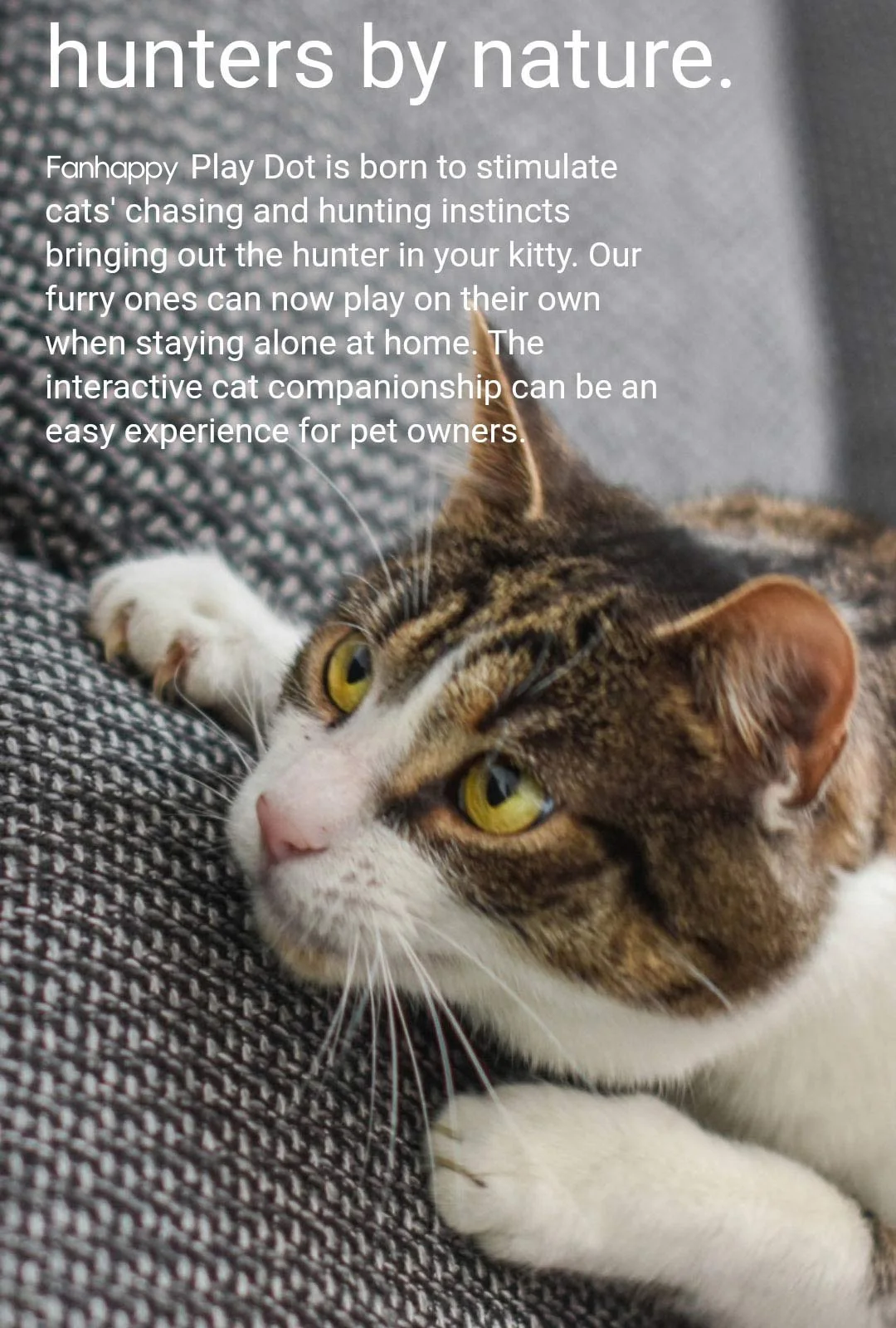 Automatic Cat Laser Toy,Interactive Pet Toy,Suitable For Indoor Cats