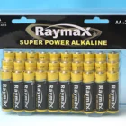 Aa Aa Battery Alkaline Raymax All Season Hot Selling PVC Box 24pcs Batteries Alkaline Aa Primary Batteries