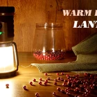 Hand Lantern Both Home Or Outdoor Use Rechargeable Hand Held Emergency Lantern