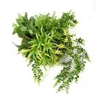 Flower Plants Decoration Plastic Small Wall Hanging Flower Plants Basket For Outside
