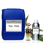 Oil Manufacturer Wholesale 1kg Private Label Lavender Peppermint Barreled Aromatherapy Pure Bulk Essential Oil