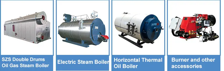 Steam Boiler, 220 V, Natural Circulation - detail 12