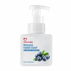 Hand Soap Liquid Hand Soap Liquid Blueberry Scent Fragrance Hand Cleaner Soap Foaming Liquid Anti-Bacterial High Quality