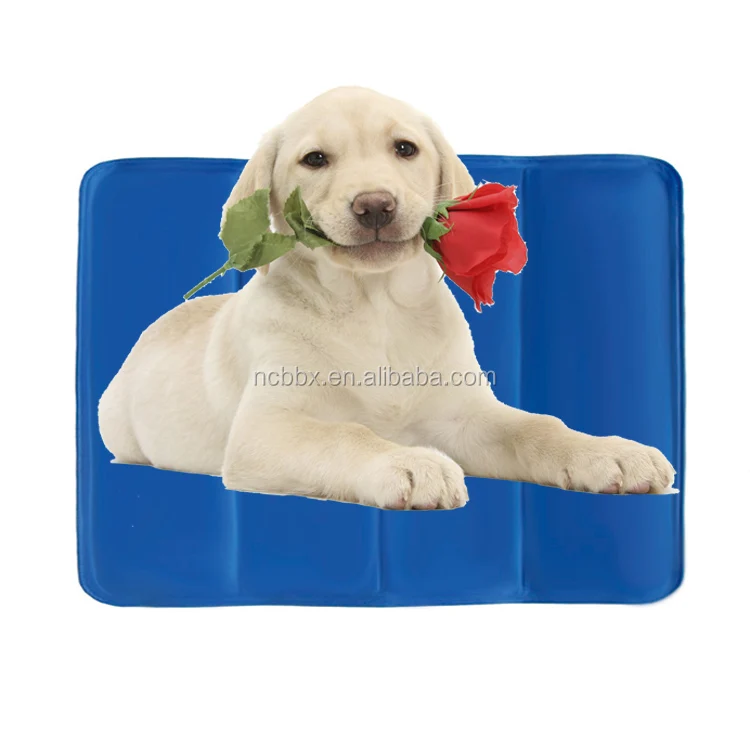 pet cooling bed