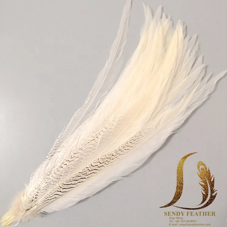 Craft Millinery Fly Fishing Pack of 5 Feather Pheasant Silver Tail 10-15cm 