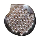 Pearl AAA Grade Button Shape 6.5~12.5mm Freshwater Pearl Shinning Natural Real Loose Pearl White Color