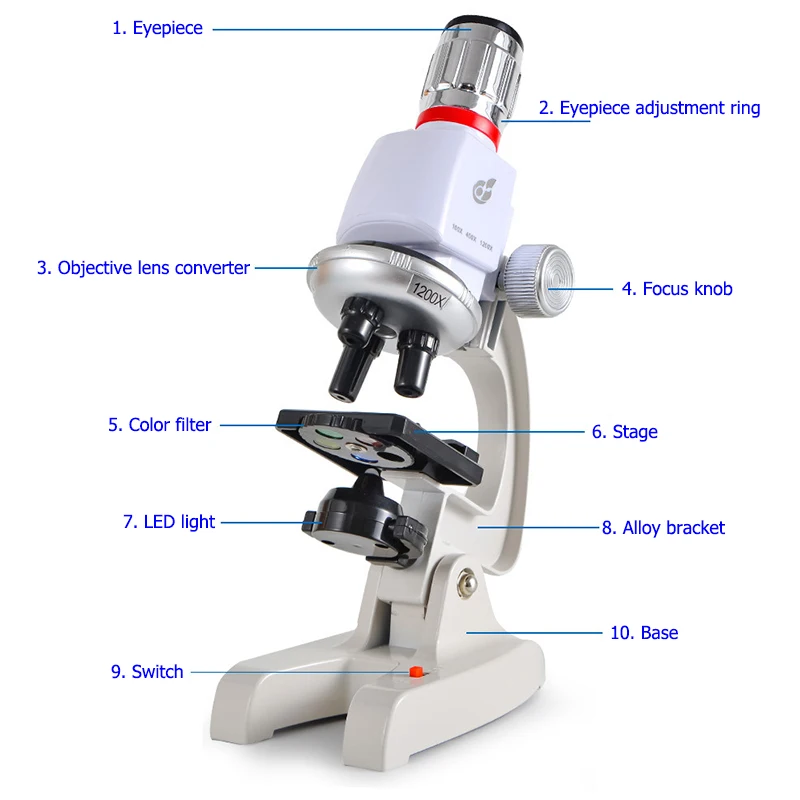 microscope labeling for kids