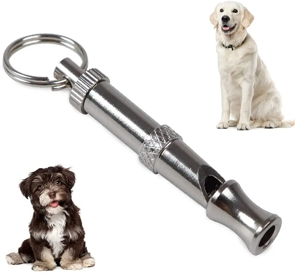 Why Is It Called A Whistle Dog