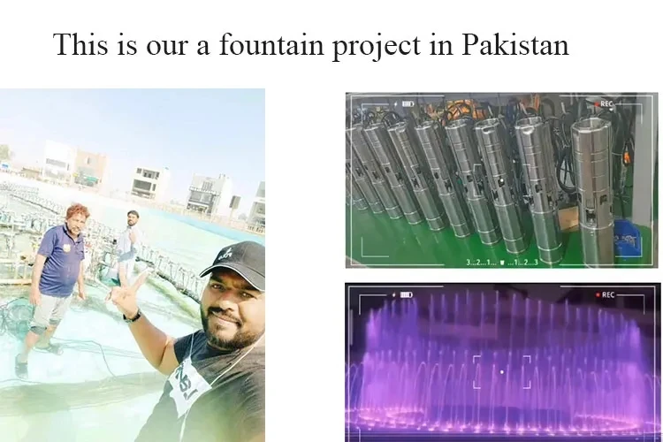 DC24V DMX Submersible Water Pump with LED Hose Low Pressure Outdoor Fountain Pump manufacture