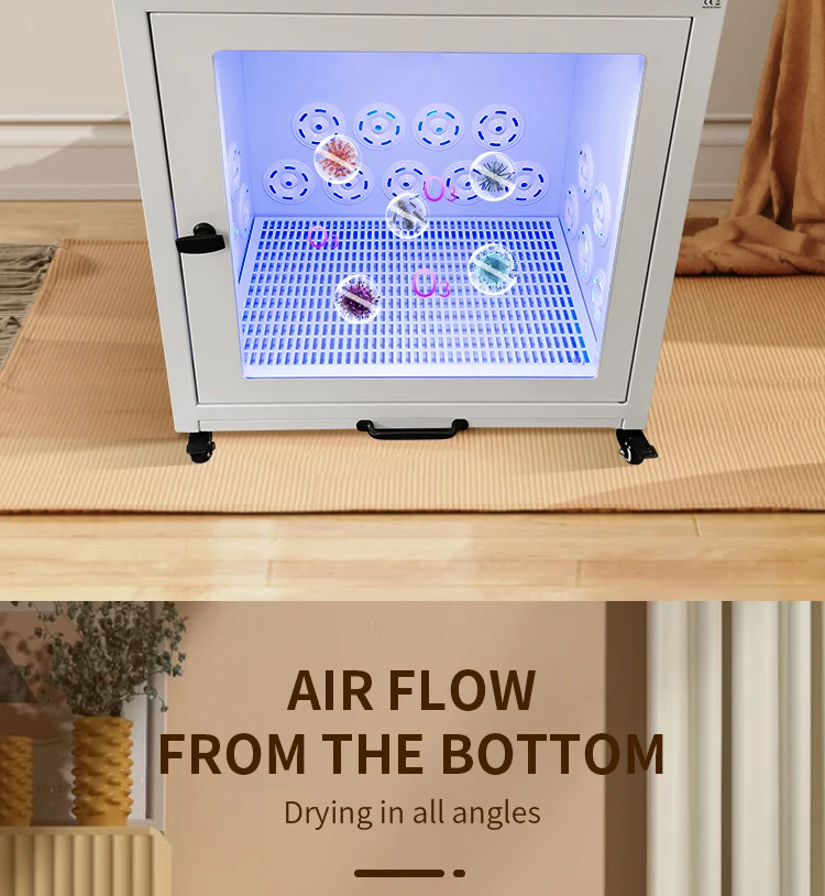 G5-S Hot Sale New Design Cat and Dog Hair Dryer Cabinet Small Pet Dryer Machine Pet Water Blower China Factory Direct Supplier