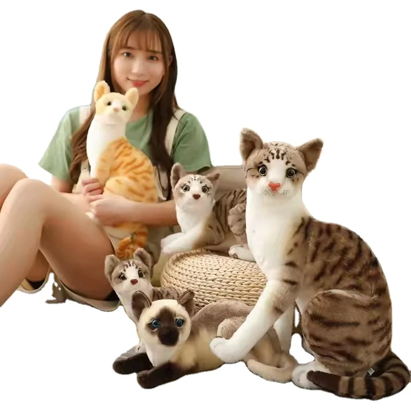 cat hugging plush